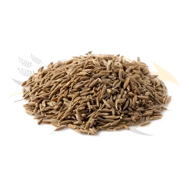 Cumin seeds